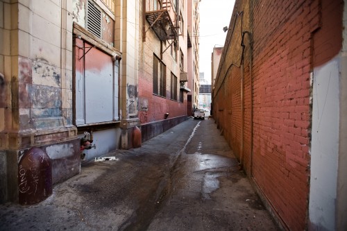 Not even mangy cats live here.